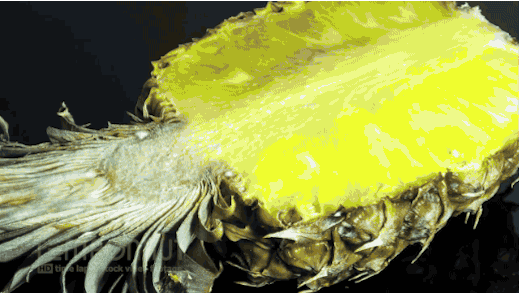 ananas en décomposition