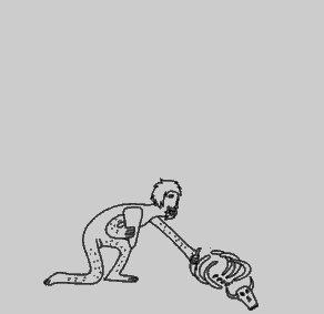 Homo Sapiens, Evolución Humana, Fósiles, África, UNAM, Hombre
