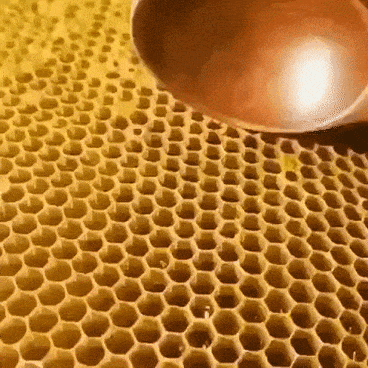 Spoonful of honey in wow gifs
