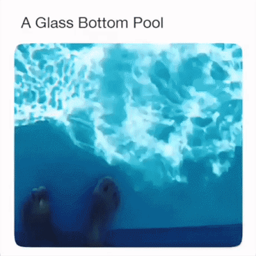 A glass bottom pool in random gifs