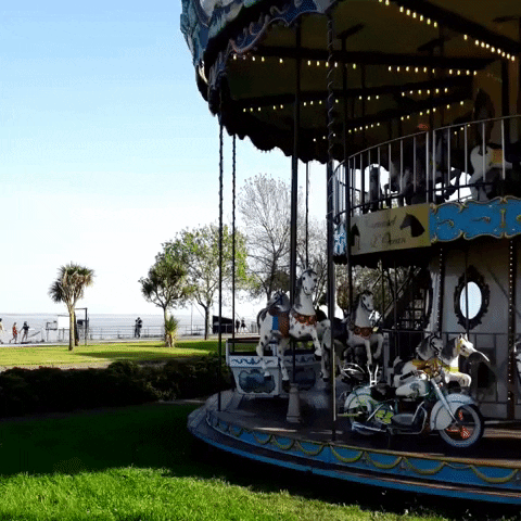 Manege GIF - Find & Share on GIPHY