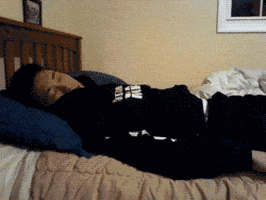 Sleeping GIF Find Share on GIPHY