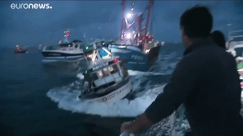 Naval Battle Fishing GIF by euronews