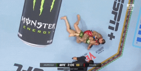 giphy.gif