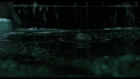 The Shape Of Water GIF by TIFF - Find & Share on GIPHY
