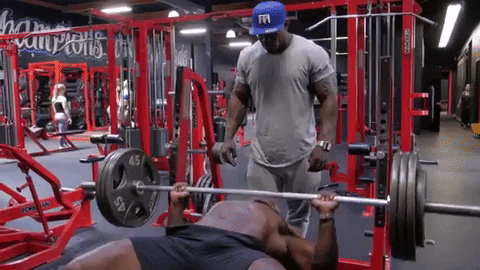 Mike Rashid How to bench press