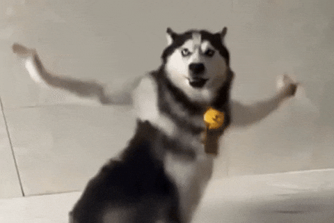 Dancing AI Husky