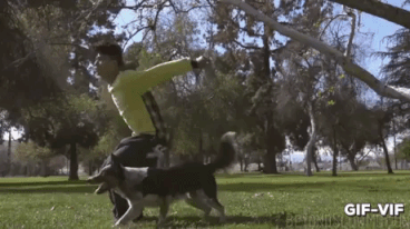 Dog And Hooman Backflip in funny gifs