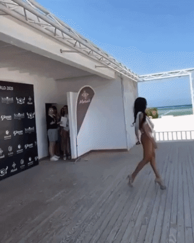 giphy.gif