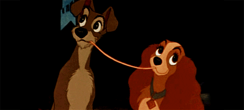 Lady And The Tramp Kiss GIF - Find & Share on GIPHY