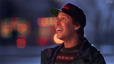 Image result for clark griswold gif