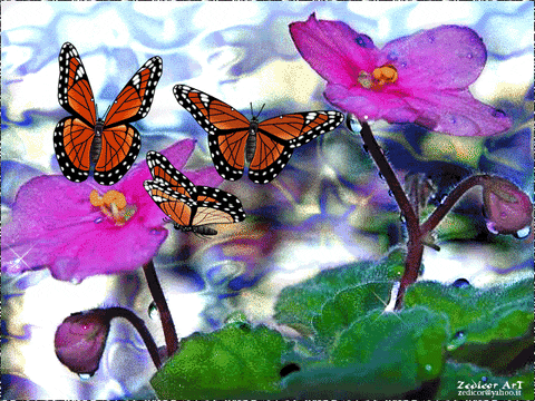 Image result for butterflies gif