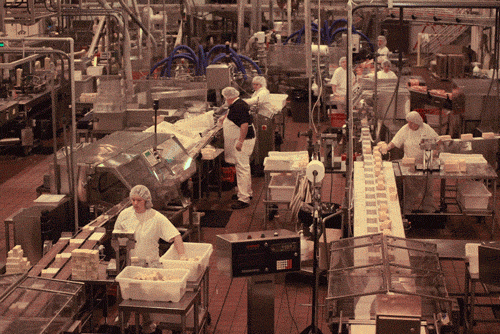 Cheese Factory GIF by hateplow