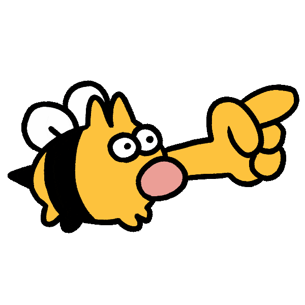 Catino