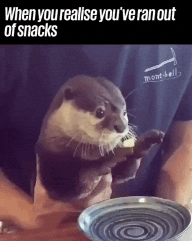 When you realise you have ran out of snacks in funny gifs