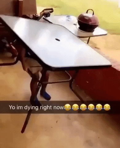 Playing with table in fail gifs