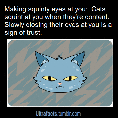 facts-gif-find-share-on-giphy