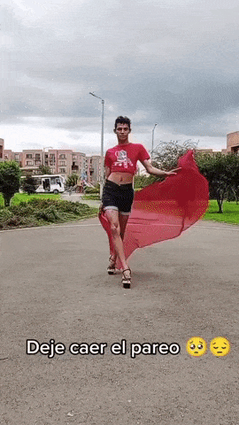 giphy-downsized-large.gif