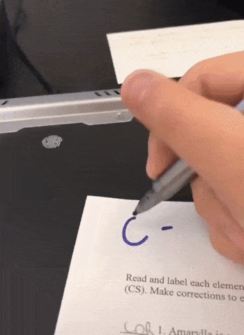 How to turn everything A plus in funny gifs