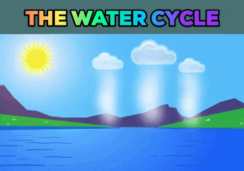 Mr. Gruszka's Earth Science GIFtionary: Day 044 - GIFtionary (The Water  Cycle)