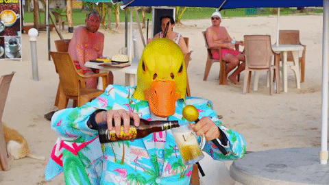Ingo ohne Flamingo prostet mit Bier am Strand 