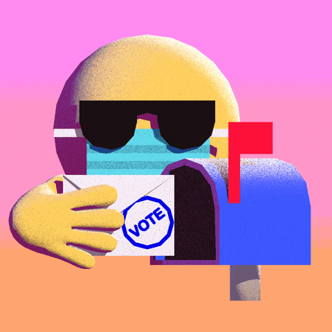 Stay Home Election 2020 GIF by INTO ACTION