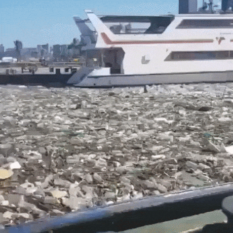 The amount of trash in oceans in wtf gifs