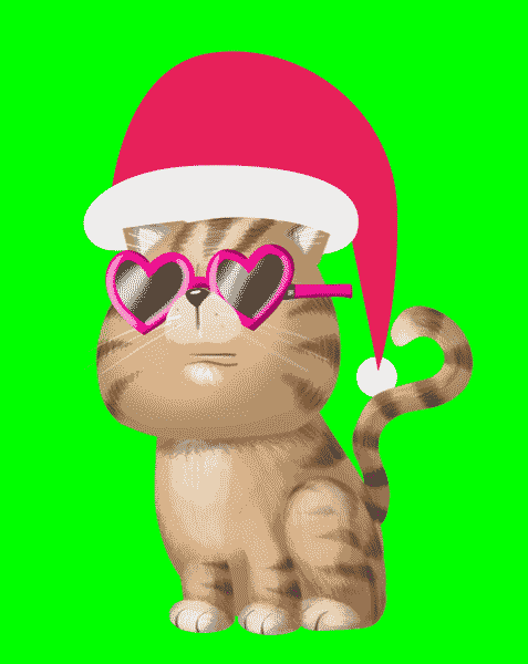 Merry Christmas Cat GIF by Bill Greenhead - Find &amp; Share on GIPHY