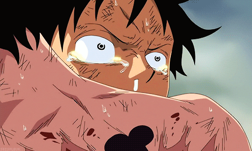 One Piece GIF - Find & Share on GIPHY