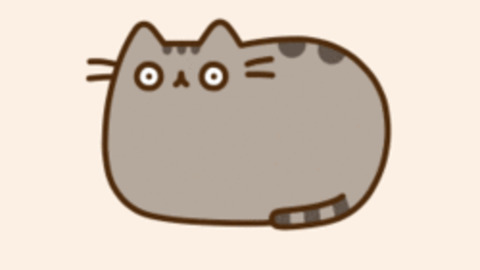 Pusheen GIF - Find & Share on GIPHY