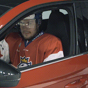 ŠKODA CZECH REPUBLIC GIF