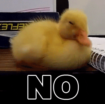 https://media.giphy.com/media/XhjyxFECqrrcA/giphy.gif