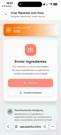 Demonstração do app Papinha.ai em funcionamento