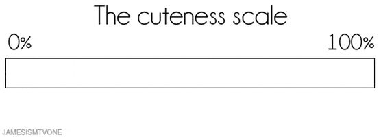 Image result for cuteness gif