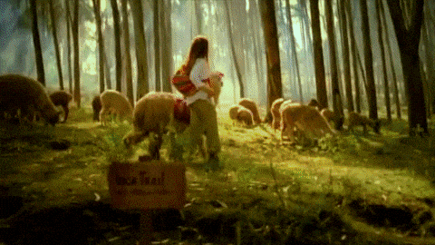 giphy-downsized-large.gif