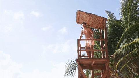 Palm Trees Fashion GIF