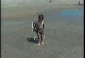 A kid dragging his toy chair in the beach gets hit by a wave. Leonardo Dicaprio Summer GIF

