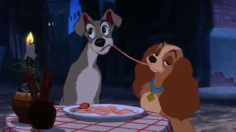 Two dogs kiss as they eat the same string of spaghetti