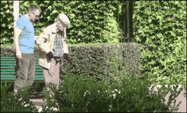 save gif from pinterest