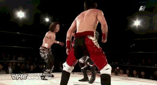 giphy.gif