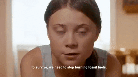 GIPHY News GIF