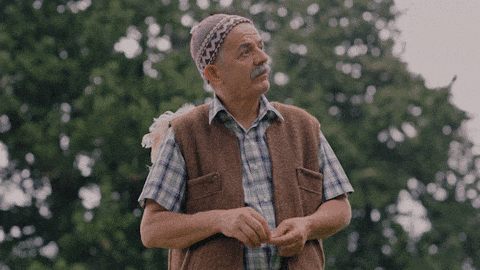 giphy-downsized-large.gif