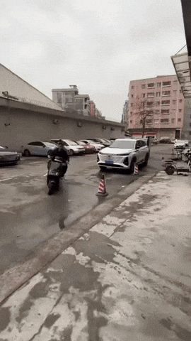 giphy.gif