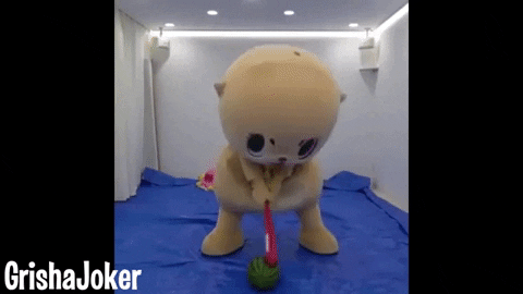 giphy.gif