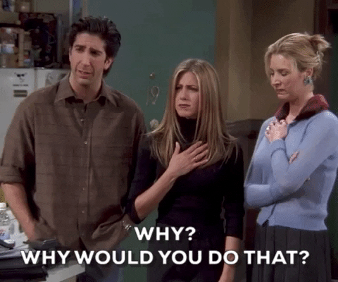 Why Would You Do That Season 5 GIF by Friends - Find & Share on GIPHY