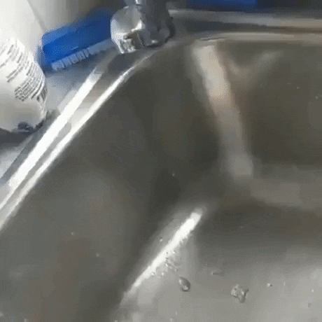 No more wasting water in wtf gifs