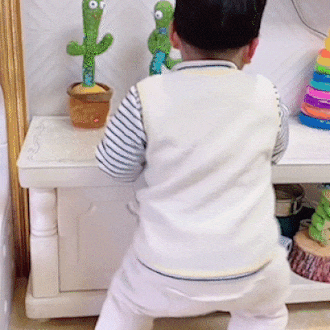 Dancing Cactus Toy – Babyshok