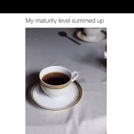 My maturity level in funny gifs