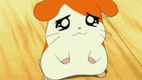 Hamtaro GIFs  Find amp; Share on GIPHY