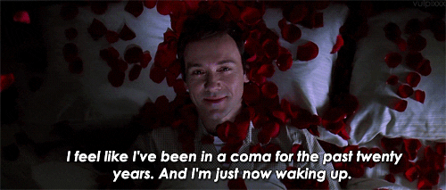 Quotes From American Beauty Quotes From American Beauty
